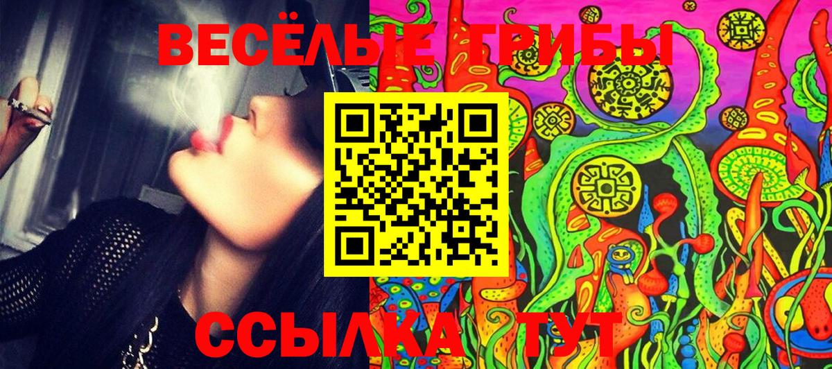 Каменск-Шахтинский  Псилоцибиновые грибы GOLDEN TEACHER  Вход с VPN 