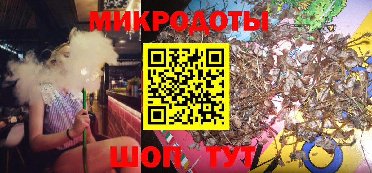 Псилоцибиновые грибы прущие грибы Каменск-Шахтинский